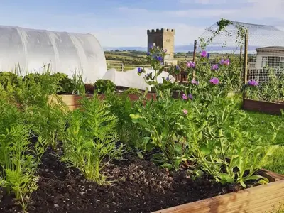 a garden with flowers and a greenhouse in the background at Old Barn Farm Cottage - Cc in Uplawmoor