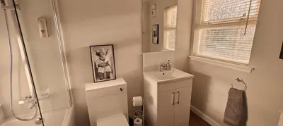 a bathroom with a toilet and a sink and a shower at Ben Lomond Cottage in Arrochar