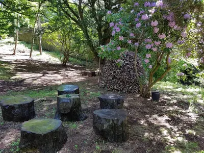 a group of tree stools sitting in a park at Bonkle House in Wishaw
