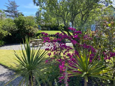 a garden with purple flowers and a picnic table at Tramway Cottages in Ellanbeich