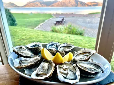 a plate of oysters on a plate with lemon slices at Wildwood Cottage with Hot Tub in Glencoe