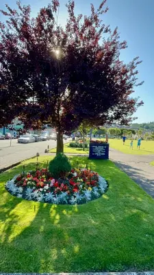 a tree in a circle of flowers in a park at Cannon House Guest House in Rothesay