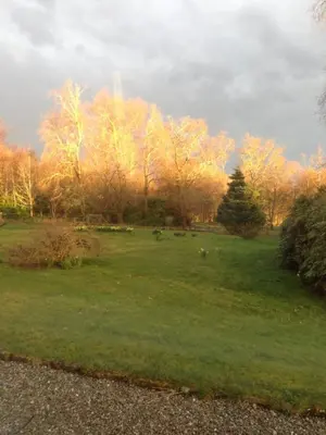 a grassy field with trees in the background at Woodside Cottage Self Catering in Kinbuck