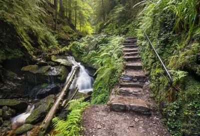 a stairway leading to a waterfall in a forest at Ash Lodge in Benmore
