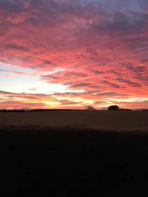 a sunset in a field with a tree in the distance at Garden Studio for Two in Doune