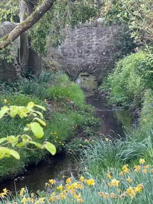 a stream in a garden with flowers at Garden Studio for Two in Doune