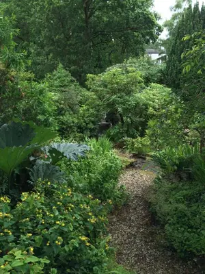 a garden with lots of plants and flowers at Coach House at The Glen in Helensburgh