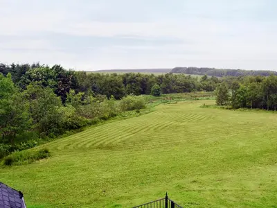 a large field of green grass with trees in the background at The Snug in Harthill