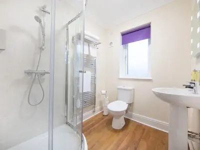 a bathroom with a shower and a toilet and a sink at The Bay Horse in Hamilton
