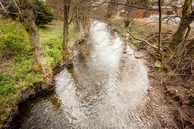 a stream of water next to some trees and grass at Thistle Lodge in Auchterarder