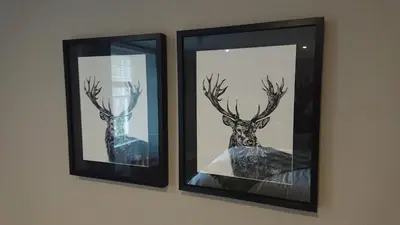 two framed pictures of deer on a wall at The Allan Park in Stirling