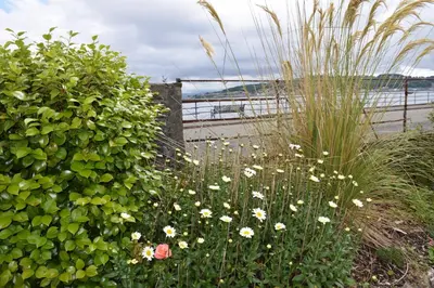 a garden with white and pink flowers next to a beach at One Marine Place in Port Bannatyne