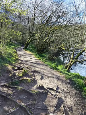 a dirt road next to a river with trees at Rob Roy Hotel in Aberfoyle