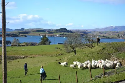 a herd of sheep in a field with people and a fence at Oban Seil Farm The Bothy in Clachan