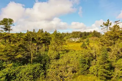 a forest of trees with a house in the background at Lagafater Lodge in Glenwhilly
