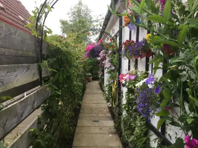 a garden path with flowers on a fence at Angel Cottage in Drymen