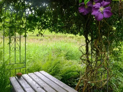 a wooden bench sitting under a tree in a field at The Cottage in Blackwood