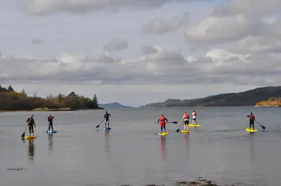 a group of people on paddle boards in the water at West Loch Shores in Tarbert