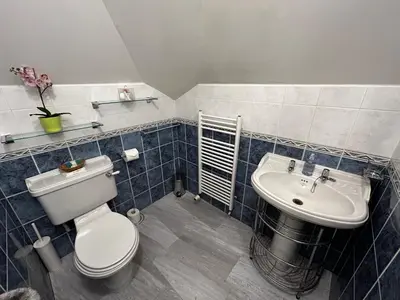 a bathroom with a toilet and a sink at Acer Lodge Guest House in Edinburgh