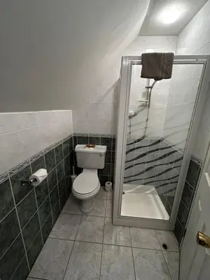 a small bathroom with a toilet and a shower at Acer Lodge Guest House in Edinburgh