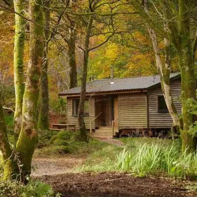 Woodland Cabins
