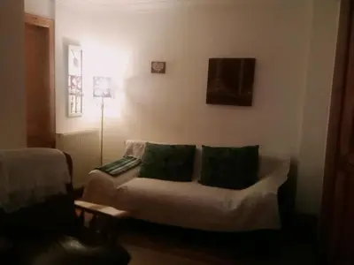 a living room with a couch with two green pillows at Fountainbridge Flat in Edinburgh