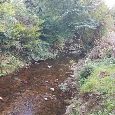 a stream of water with trees on the side of a hill at Bear Lodge in Auchterarder