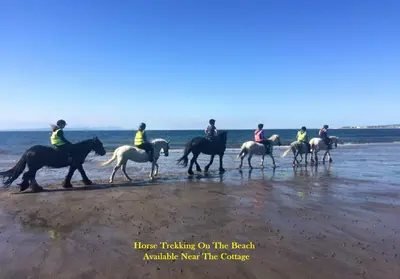 a group of people riding horses on the beach at Ayrshire Holiday Cottage in Girvan