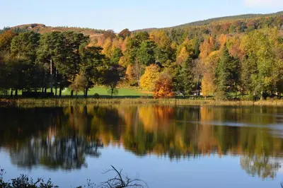 a view of a lake with trees in the background at Loch Monzievaird Chalets in Crieff