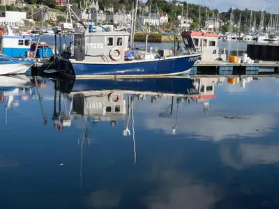 a group of boats docked in a marina at Knap Guest House in Tarbert