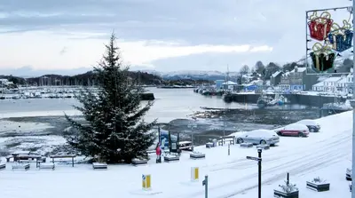 a christmas tree in the snow next to a marina at Knap Guest House in Tarbert
