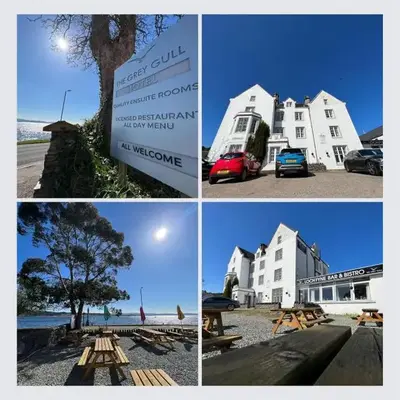 The Grey Gull Hotel