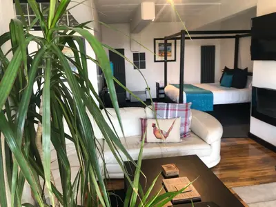 a living room with a couch and a plant at loch lomond apartments in Alexandria