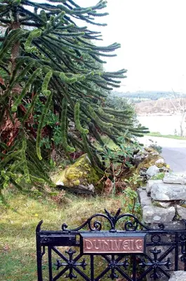 a sign on a bench in front of a tree at Dunivaig B&B in Tarbert