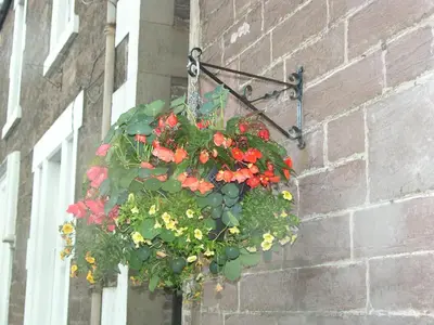 a hanging basket of flowers on a brick wall at Comelybank Guesthouse in Crieff