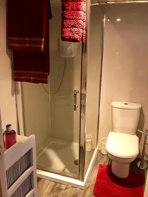 a bathroom with a toilet and a glass shower at Bumble’s Barn in Slamannan
