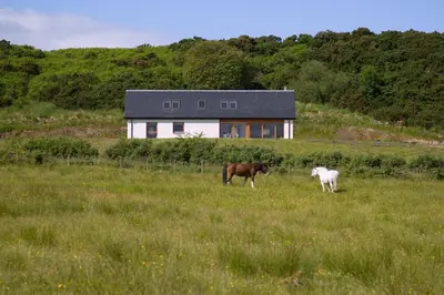 two horses grazing in a field in front of a house at Seabank Lodge in Oban