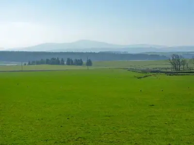 a large green field with animals grazing in it at Sky Blue Cottage in Forth