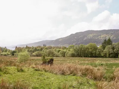 a field of grass with a mountain in the background at Forester's Cottage in Newyork
