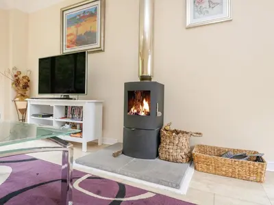 a fireplace in a living room with a tv at Woodland Villa in Oban
