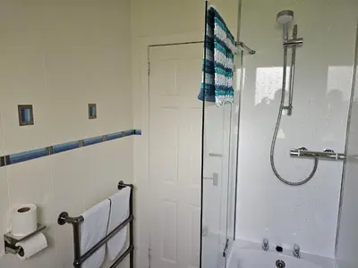 a bathroom with a shower and a sink at Snug - Meadhan Apartment in Helensburgh