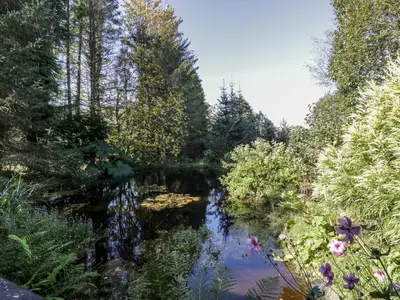 a pond in a garden with trees and flowers at The Log Cabin in Kilmore