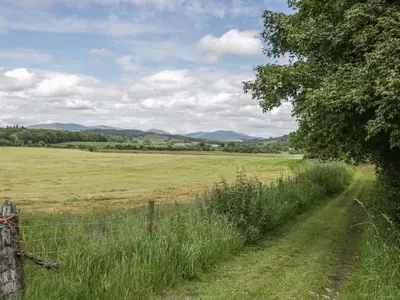 a field of grass with a fence and a dirt road at The Dairy in Newton Stewart