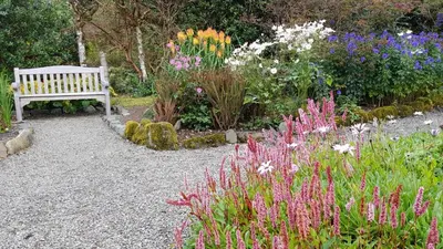 a bench in a garden with a bunch of flowers at The Old Cottage in Arduaine