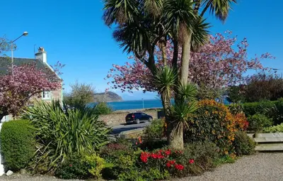 a car parked next to a palm tree and flowers at Ardshiel Hotel in Campbeltown
