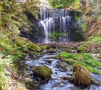 a waterfall on the side of a river with moss at Finlaystone Family Barn in Port Glasgow