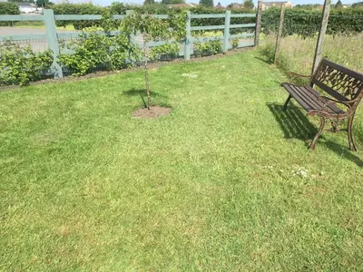 a park bench sitting in a yard with a tree at Auchenlea lodges in Glasgow