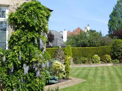 a garden with purple flowers and a hedge at The Cairn Residence in Edinburgh