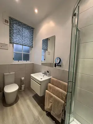 a bathroom with a toilet a sink and a shower at The cosy courtyard in Edinburgh