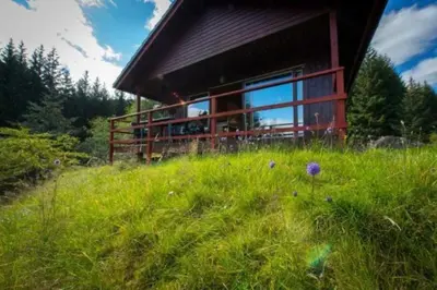 a house in the middle of a field of grass at 2 bedroom lodge with stunning loch mountain views in Crianlarich